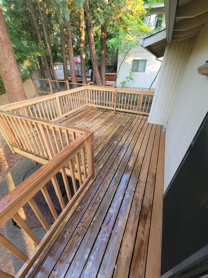 Deck Painting Project 1/4